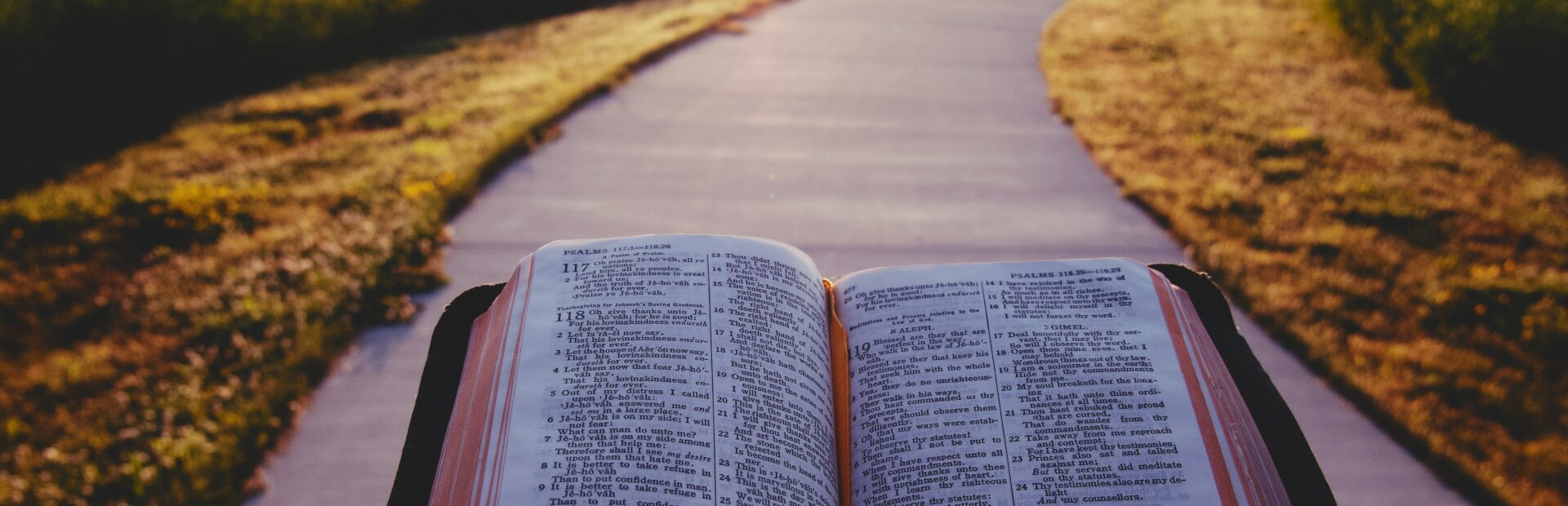 Bibel auf einem Weg